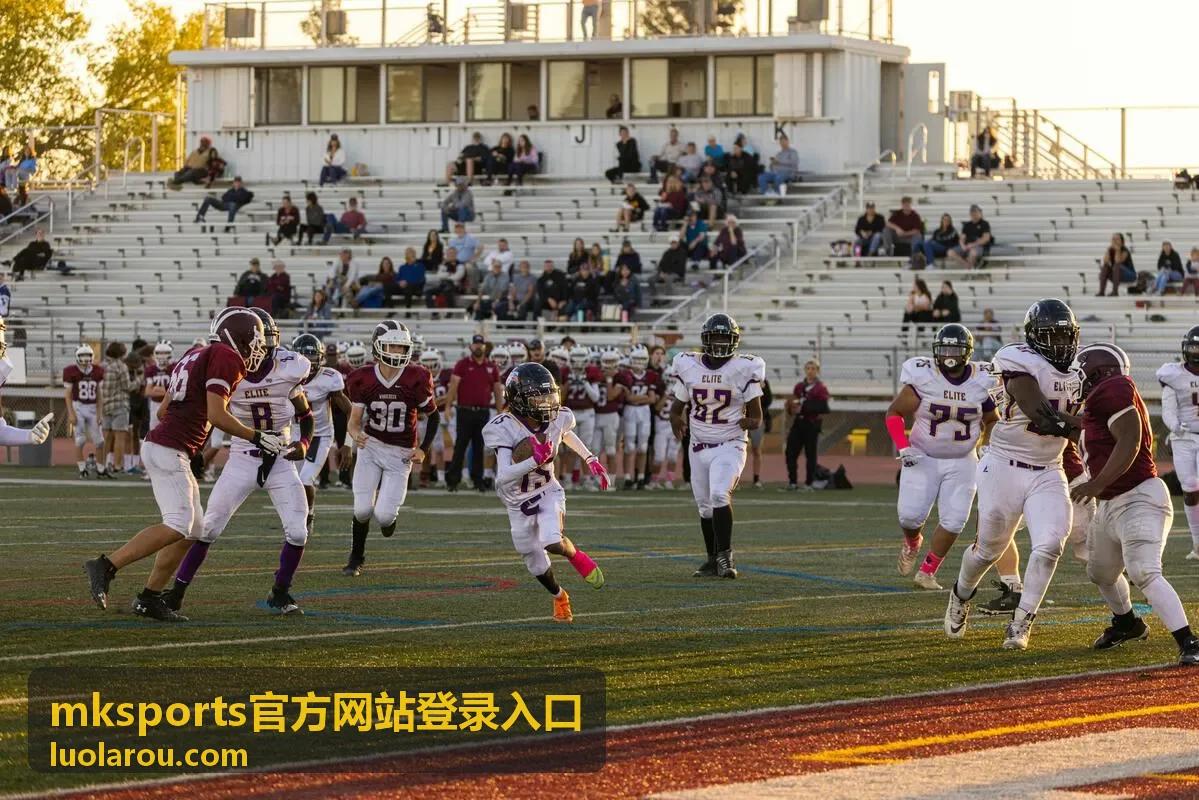 2018世界杯赛队伍图片：32强阵容与经典瞬间全回顾
