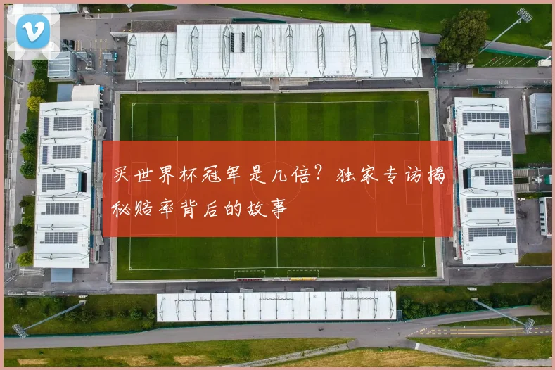 买世界杯冠军是几倍?独家专访揭秘赔率背后的故事