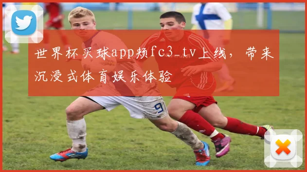 世界杯买球app颊fc3_tv上线,带来沉浸式体育娱乐体验